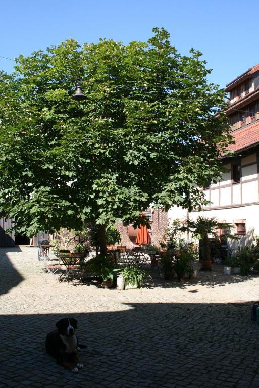 Ferienwohnung Auszeithof Niederfrohna Exterior foto